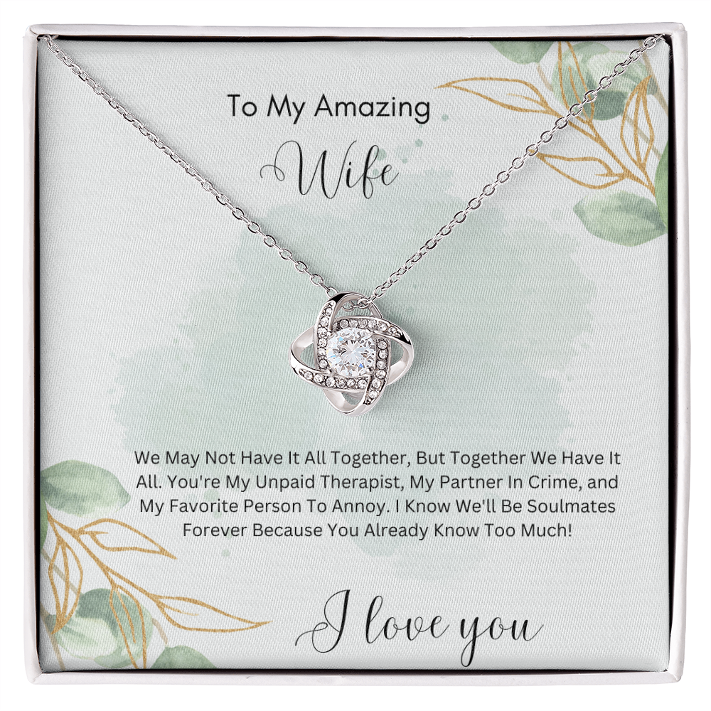 To My Amazing Wife – My Partner in Crime & Favorite Person to Annoy - Funny & Romantic Necklace Gift
