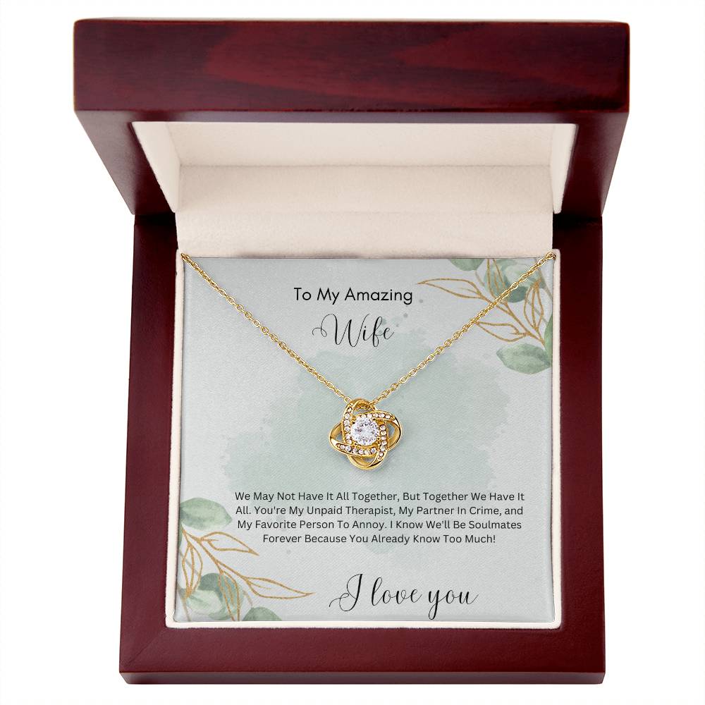 To My Amazing Wife – My Partner in Crime & Favorite Person to Annoy - Funny & Romantic Necklace Gift