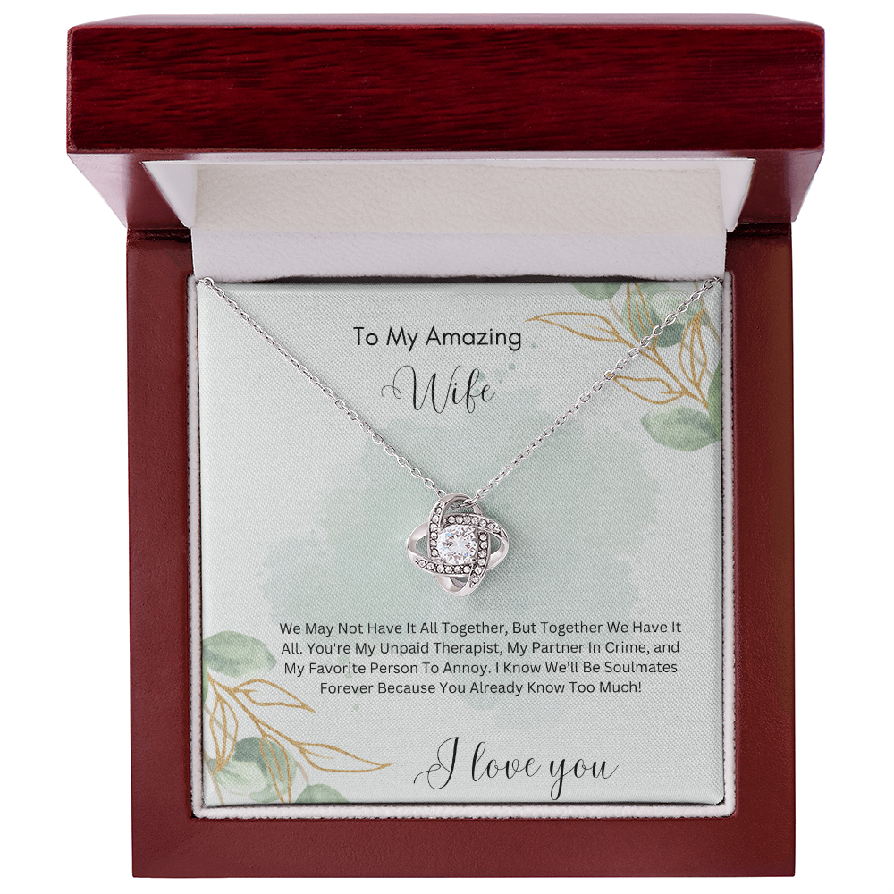 To My Amazing Wife – My Partner in Crime & Favorite Person to Annoy - Funny & Romantic Necklace Gift